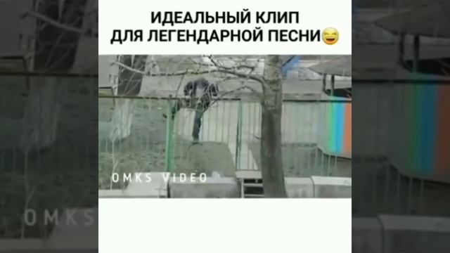 Новые приколы 2019 подборка приколов смотреть онлайн