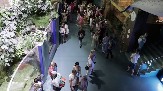 Подводный мир в Москвариум смотреть онлайн