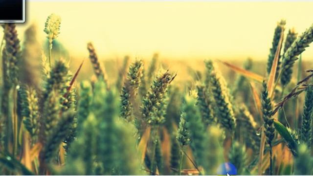 Прикольная музыка.228 смотреть онлайн