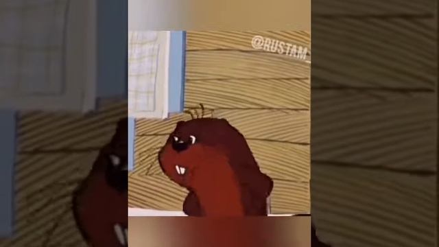 ОЗВУЧКА ОТ ДЖАВИДА    2019 ЛУЧШАЯ Подборка Приколов