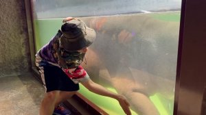 артур и давид