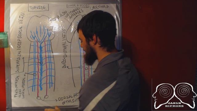 Angion Method 2.0 смотреть онлайн