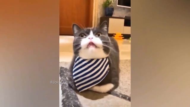 20 МИНУТ ОТБОРНЫХ ПРИКОЛОВ ¦ ТЕСТ НА ПСИХИКУ ¦ ЛУЧШИЕ ПРИКОЛЫ 2019 #37 смотреть онлайн
