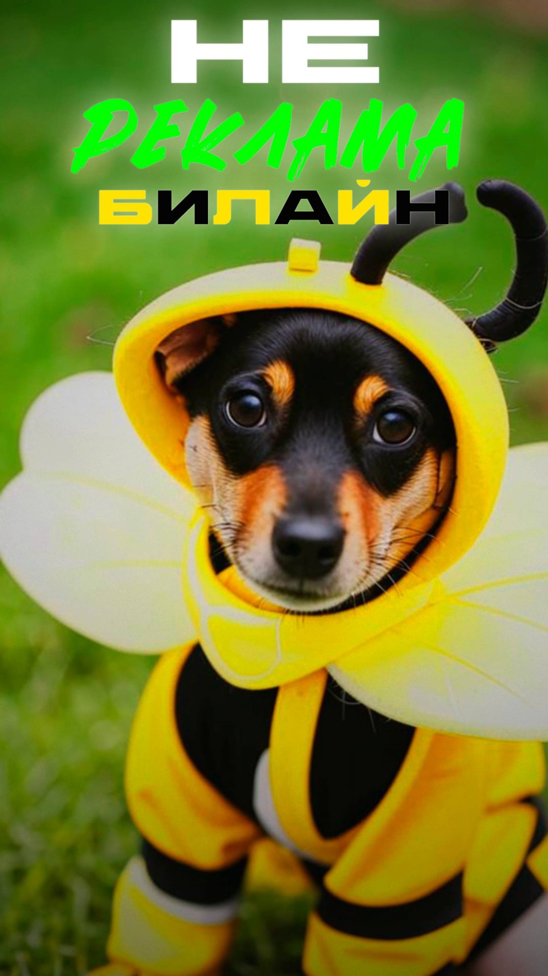 не Реклам БиЛайн 😉👍🐝😂 смотреть онлайн