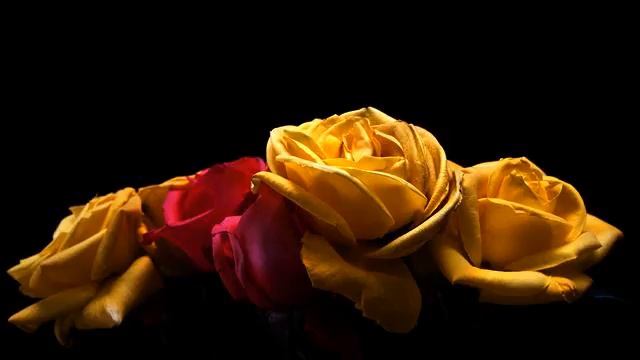 Лучшие русские песни и видео онлайн смотреть онлайн