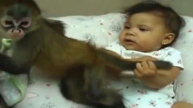 Играем с обезьянкой смотреть онлайн