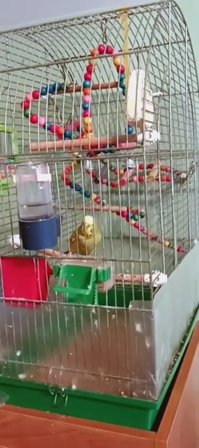 В очередь!