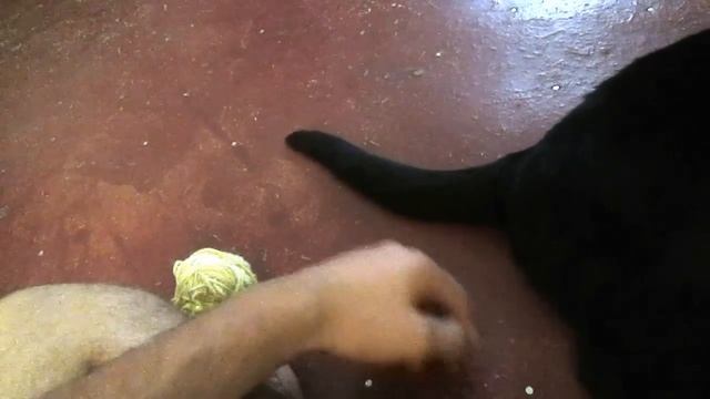 Бой с тенью смотреть онлайн