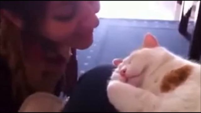 Только лучшие подборки русских и зарубежных приколов и неудач на канале - MEEKOOTO #6 смотреть онлайн