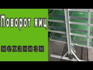 Поворот яиц в инкубаторе.  Автоматический переворот яиц