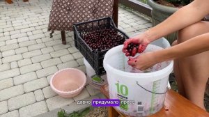 САМЫЙ ПРОСТОЙ РЕЦЕПТ ВИНА ИЗ ЧЕРЕШНИ