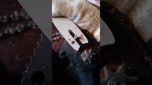 Мини-пила: как нельзя пилить и почему.