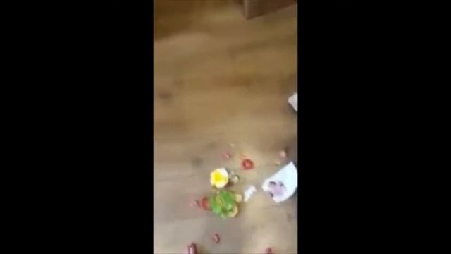ПРИКОЛЫ СМЕШНЫЕ ВИДЕО 2018 Июнь Подборка приколов ржака до слез угар ржач жесть лучшие приколы смотреть онлайн