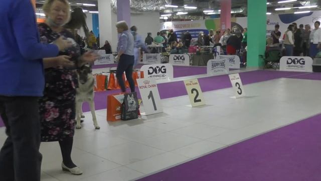 Сравнение на ЛК смотреть онлайн