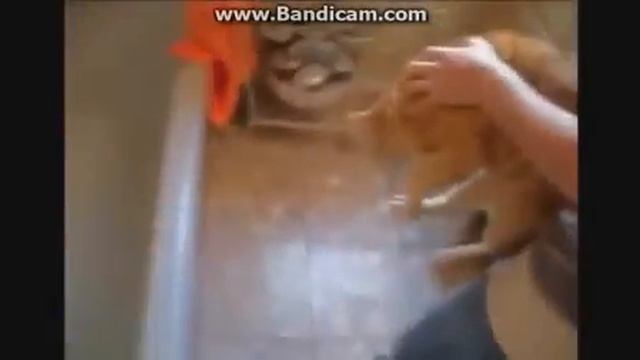 ПОШЛАЯ ПОДБОРКА ПРИКОЛОВ 18+ смотреть онлайн