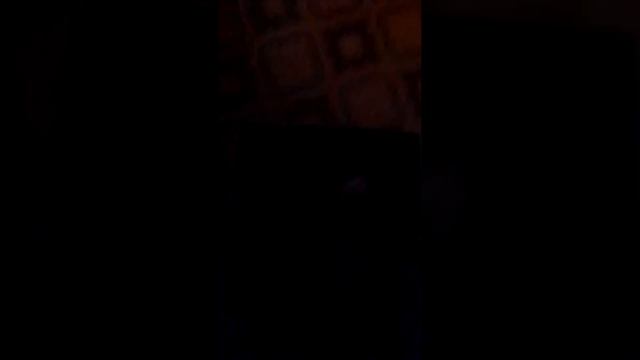 Май котёнок Варвара ищет котят в доме а это шутка смотреть онлайн