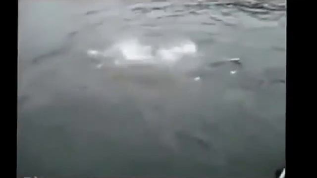 Подборка приколы на рыбалке №2 смотреть онлайн