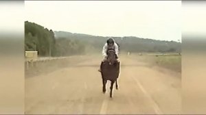 Чёрный скакун / Ипподром Владивосток / Music folk dance