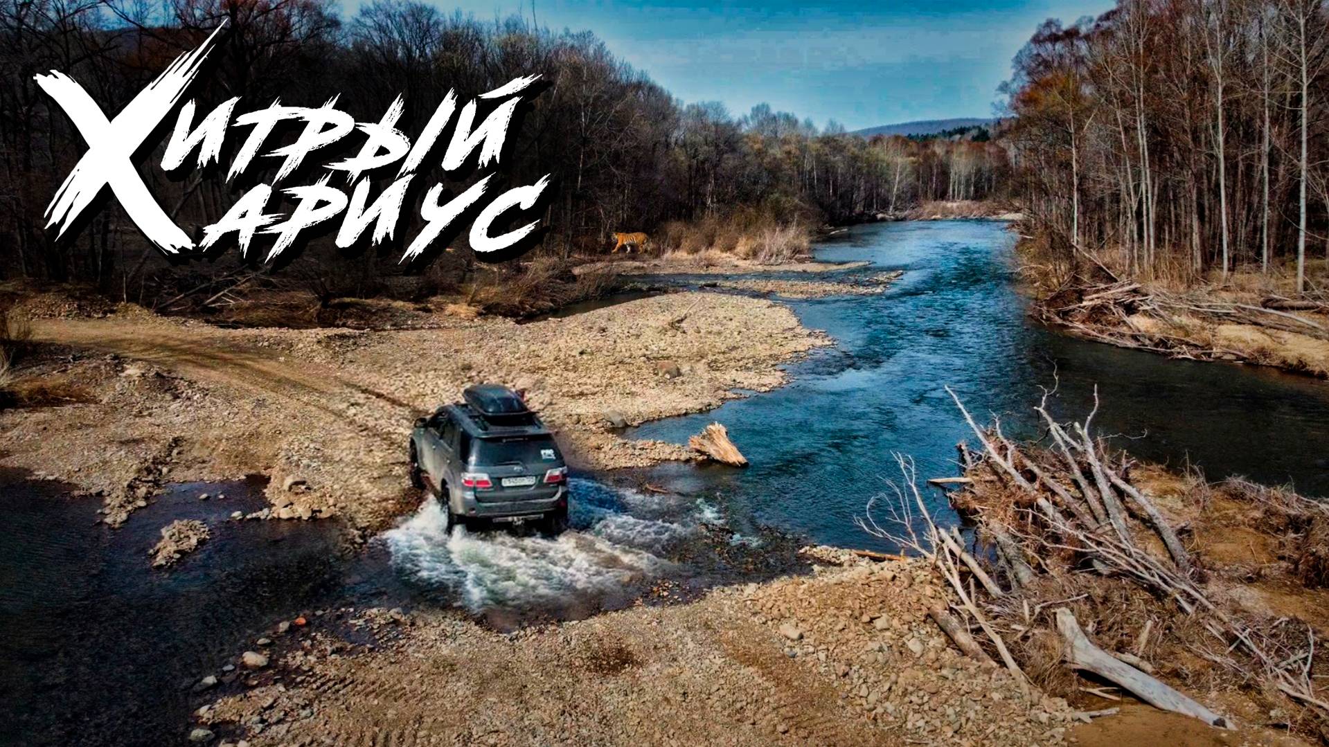 Хитрый Хариус или неудачники на рыбалке. Ловим хариуса в апреле. Прокатимся. #gopro #sony #dji смотреть онлайн