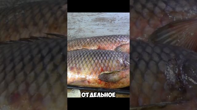 Кожа горбуши растительного дубления. выделка рыбьих кож в домашних условиях это прибыльный бизнес