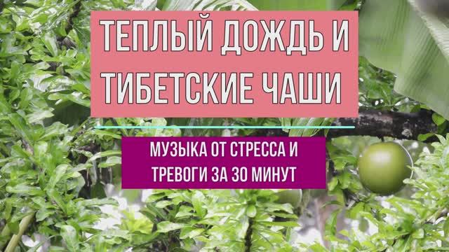 🔥РЕЛАКС ТЕПЛЫЙ ДОЖДЬ🔥 смотреть онлайн