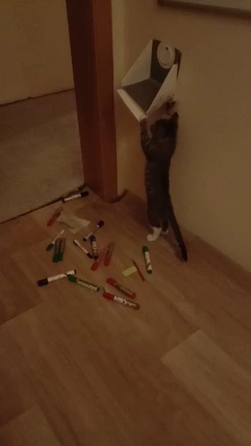 Котята - тоже дети