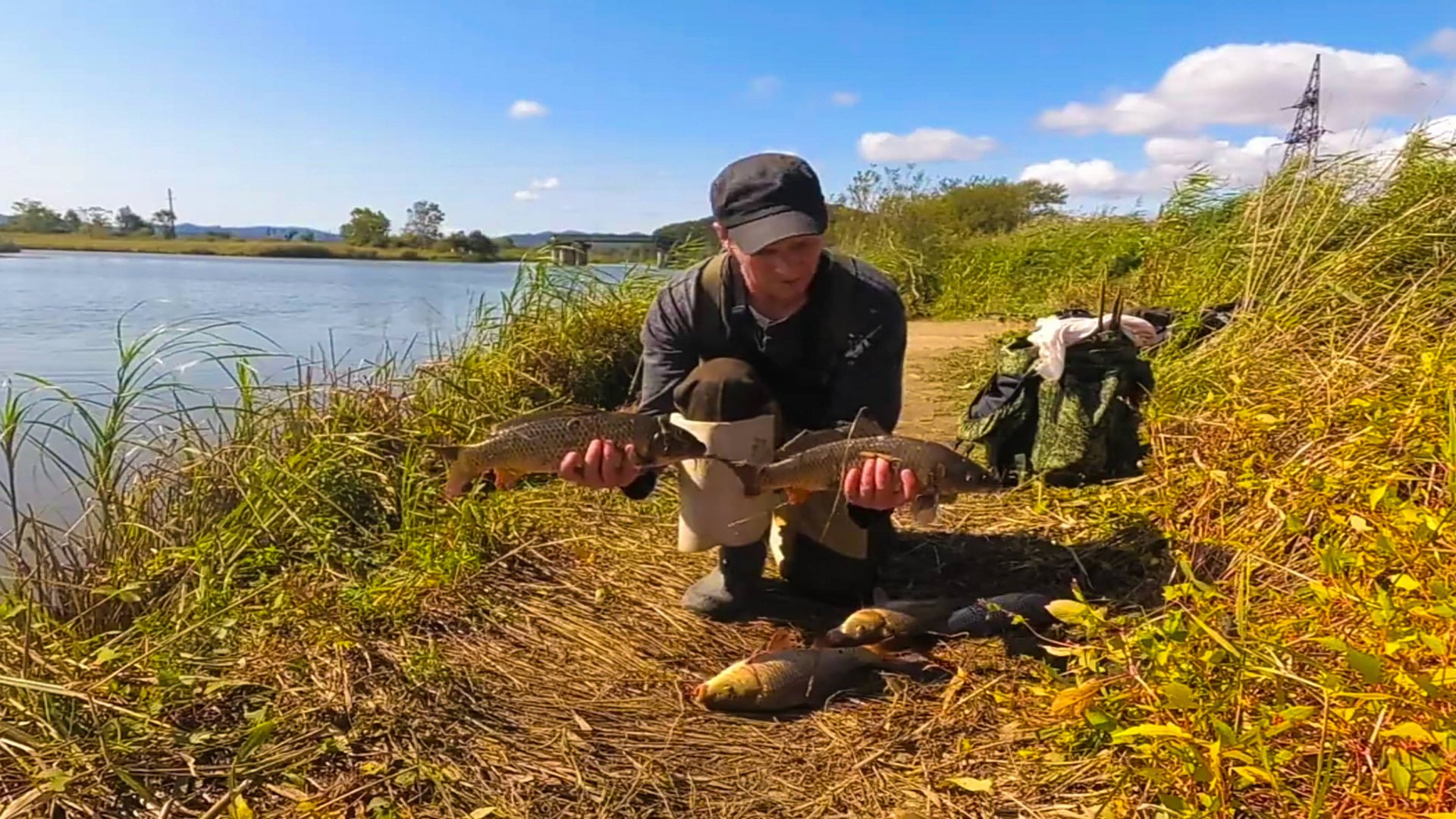 Ловля сазана на донки. Снасть на сазана смотреть онлайн