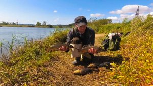 Ловля сазана на донки. Снасть на сазана