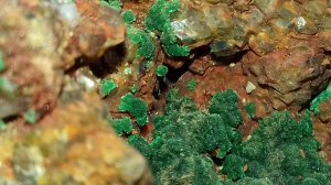 Мурзинское месторождение. Алтайский край. Прекрасные образцы хризоколлы. Малахит.