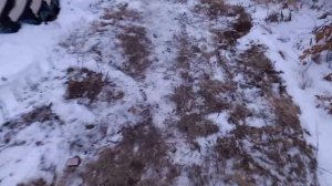 подключил свечу накала на т 25