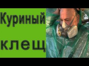 Как бороться с куриным клещом? |Чем обработать курятник от паразитов?