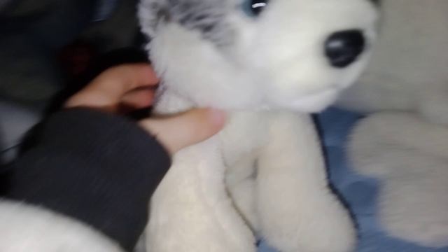 это видео смотреть онлайн