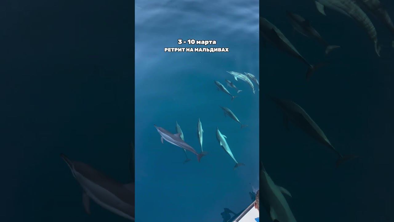 Ретрит на Мальдивы 3-10 марта 2025 - ещё можно присоединиться!
