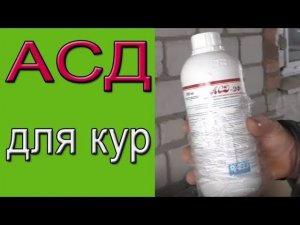 АСД фракция 2 применение для кур. Как повысить яйценоскость кур?