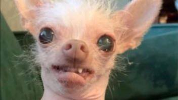 Самое смешное с Тик-Тока #2...#лучшие видео#видео#видео бесплатно смотреть онлайн