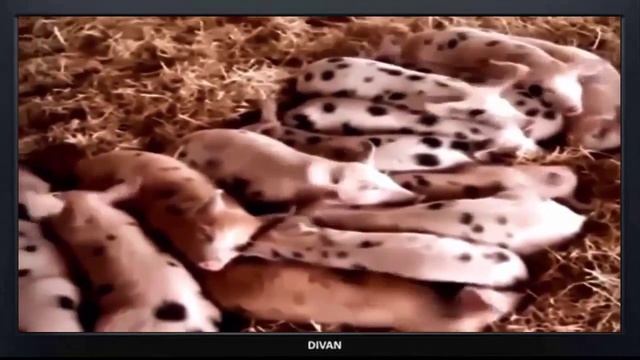 #2 Funny jokes and practical jokes • Смешные приколы и розыгрыши смотреть онлайн