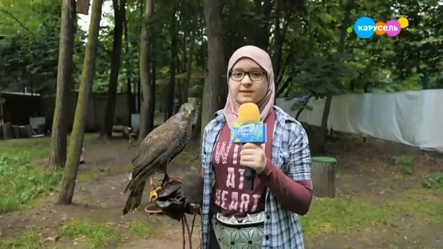 Навигатор Новости от 24 Июля 2020 года смотреть онлайн