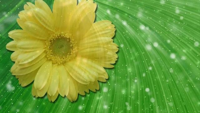 Виталик мы тебя любим смотреть онлайн