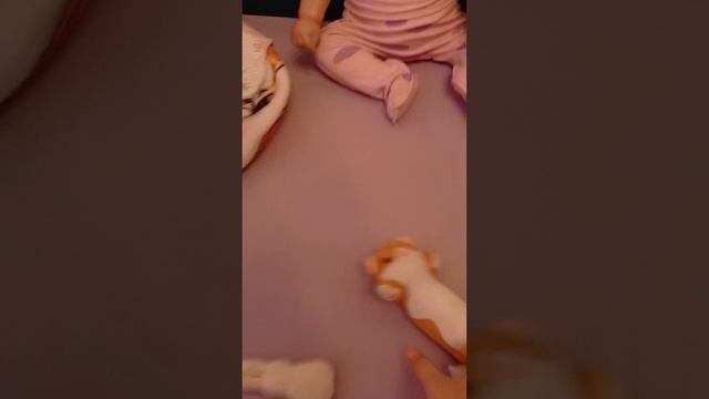 влог с Боней 2