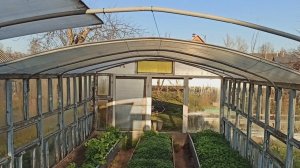 Простая теплица из старых оконных рам.