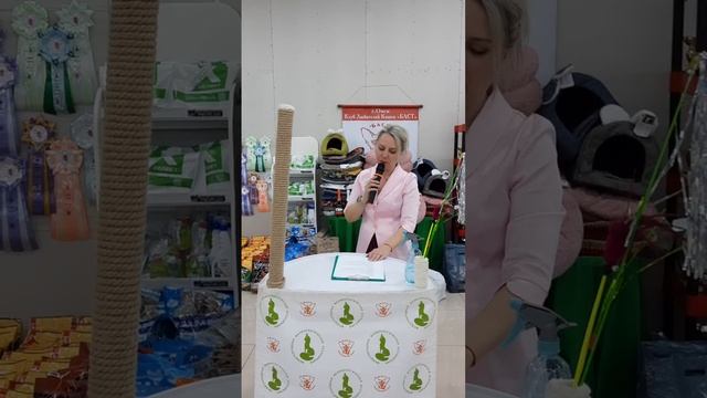 Международная выставка кошек КЛК "Баст" МФА г.Омск 09.04.2023г смотреть онлайн