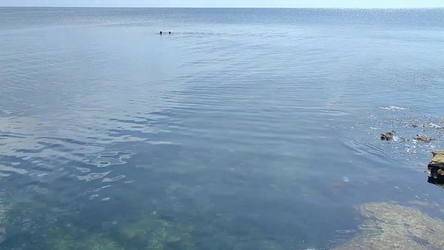 Почему выбираю отдых на Тарханкуте!