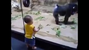 Приколы ПРО ОБЕЗЬЯН смешно до слез