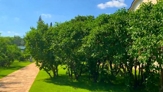 “ВДНХ" смотреть онлайн