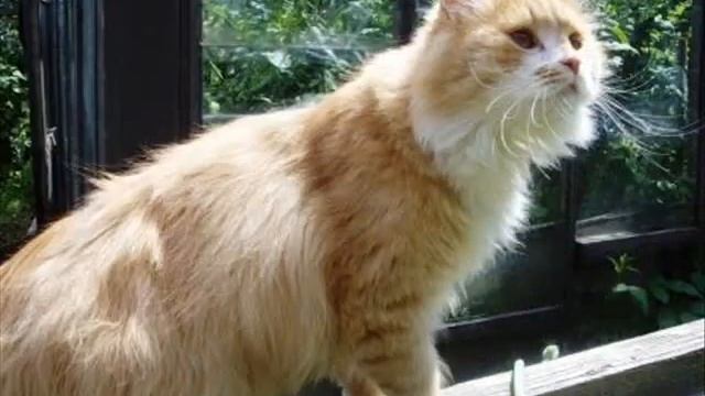 Позвони мне! смотреть онлайн