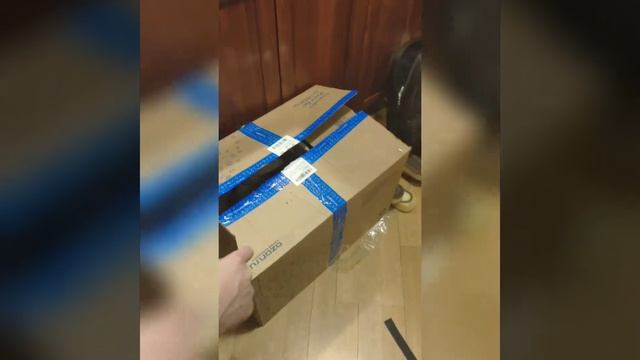 Октоша и посылка с ozon - часть 2. Новый стол. Приколы с котиками смотреть онлайн