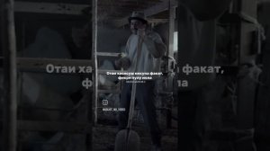 хусури ман кисми 10 прикол