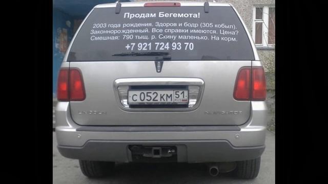 Фотографии смешных надписей на автомобилях. Новая подборка. смотреть онлайн