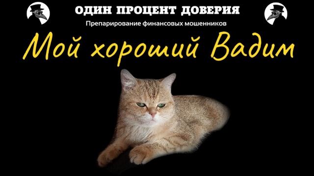 Мой хороший Вадим смотреть онлайн
