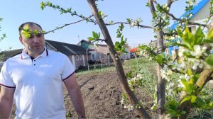 НЕ БЫТЬ МАМОЙ,ТАКАЯ СУДЬБА/ОПЕРАЦИЯ/КУПИЛИ ПЕСОК И ЩЕБЕНЬ ДЛЯ СТРОЙКИ/ХОРОШО В ДЕРЕВНЕ